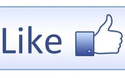 We zitten op 800 like’s, geweldig. Bedankt allemaal.
We have 800 like’s. Thank y…