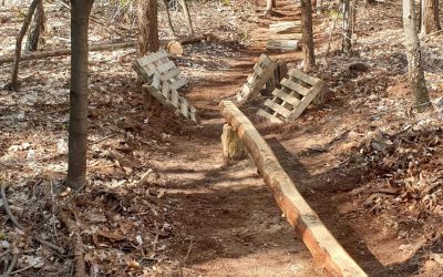Er wordt zondagochtends weer lekker getraind in het bos. Wil je ook een keer mee…
