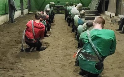 Laatste trainingen van het jaar!
Bij Touwtrekkersvereniging Eibergen wordt er n…